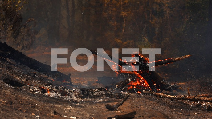 Požar u Breznici pod kontrolom